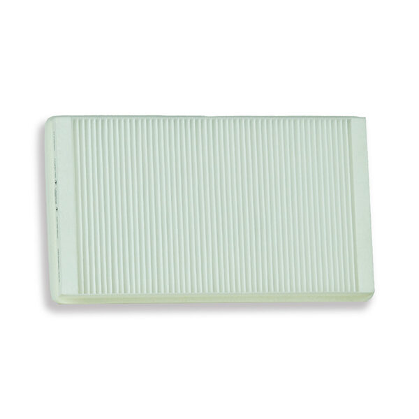 Maico WS 170 - F7 Pollen filter (WSF 170)